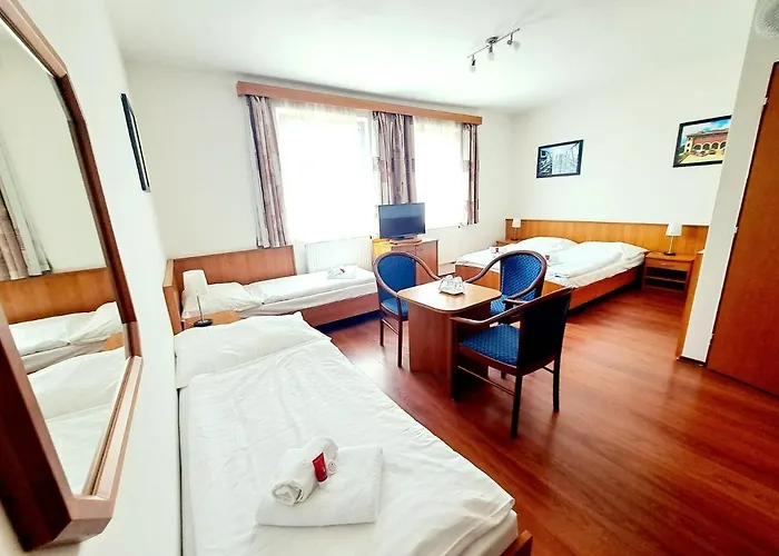 호텔 Hasicsky Přibyslav